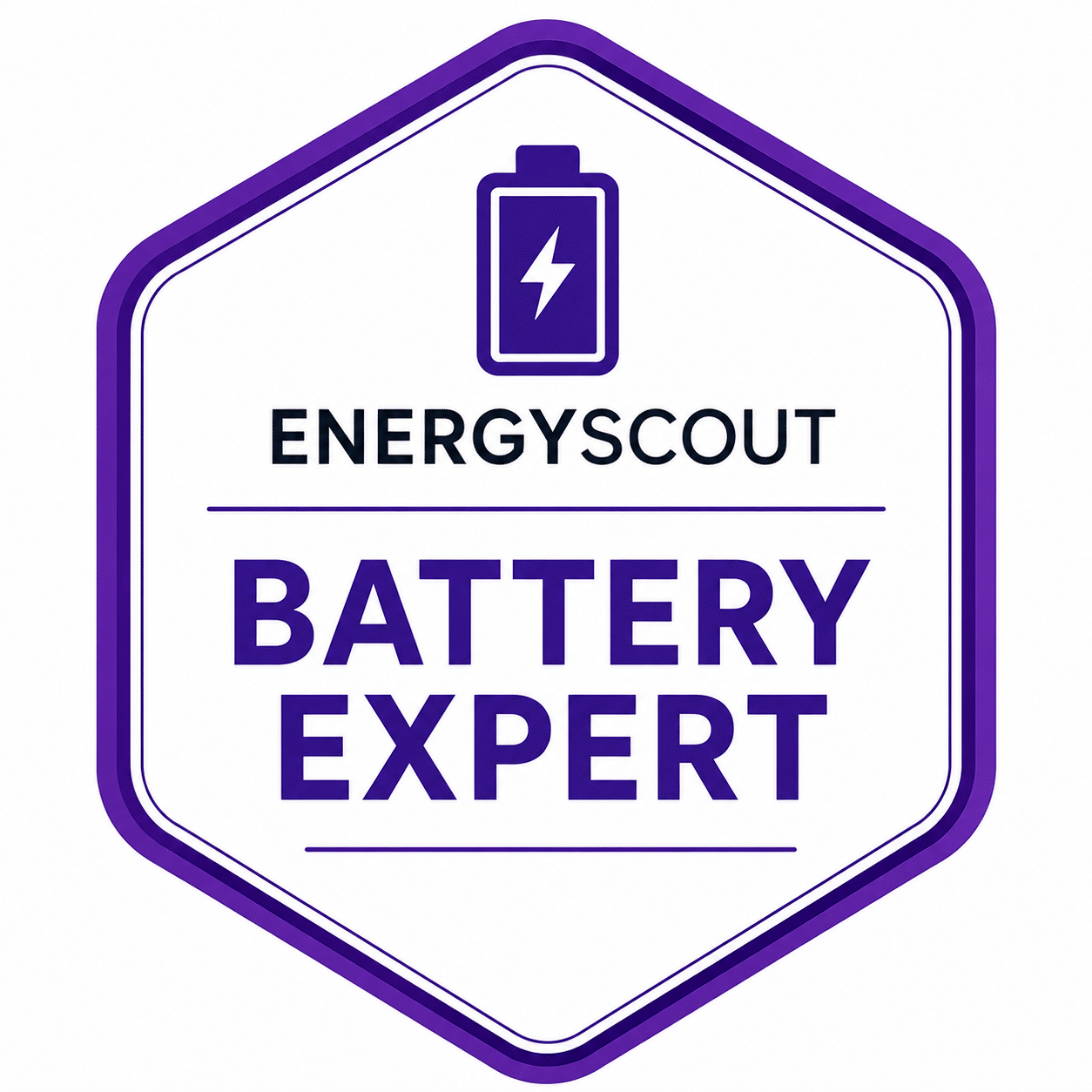 Battery Expert